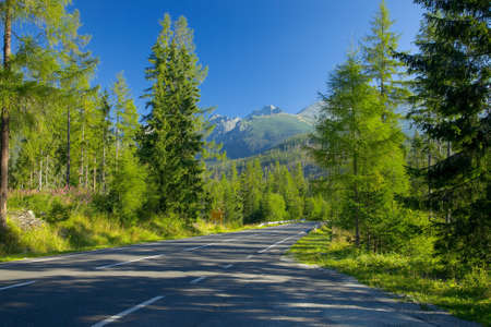 Road in the mountains in summerの写真素材