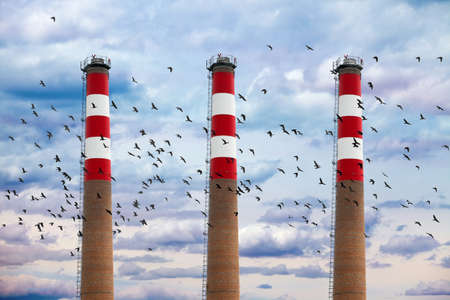 Industrial chimneys with flying birdsの写真素材