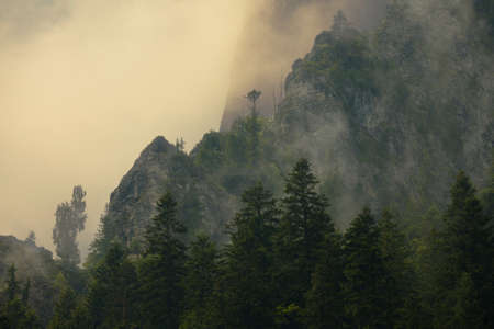 Mist in the mountains of Transilvaniaの写真素材