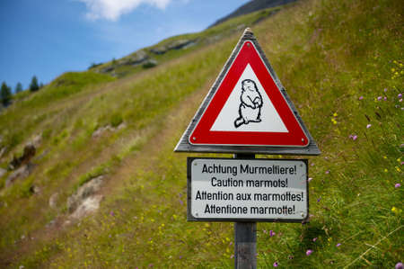 Caution marmots traffic sign on an alpine roadの写真素材