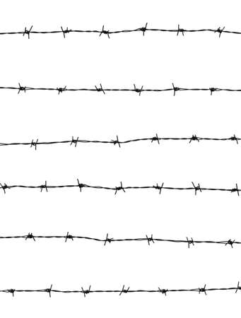 Barbed wires isolated on white backgroundの写真素材