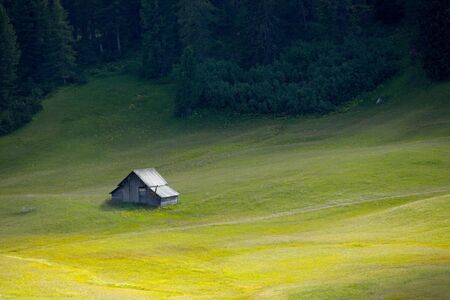 Green pasture in the Alpsの写真素材