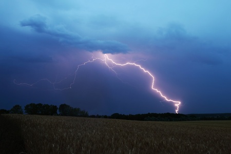 Lightning strikes down over a fieldの写真素材