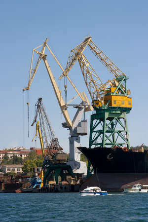 Industrial port with huge cranesの写真素材