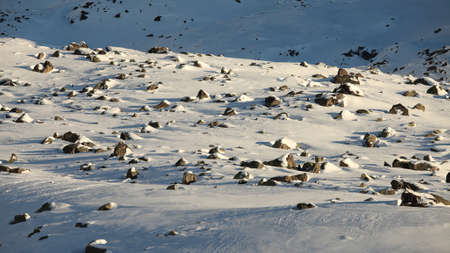 Snowy landscape in the mountains in winterの写真素材