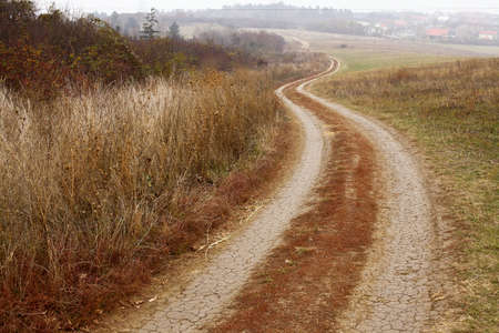 Long dirtroad in the countrysideの写真素材