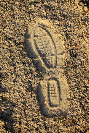 Footprint in dry soilの写真素材