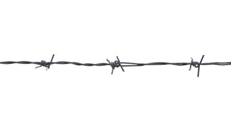 Barbed wire isolated on white backgroundの写真素材