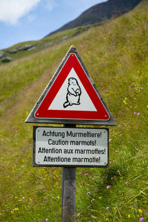 Warning sing for marmots by the roadの写真素材