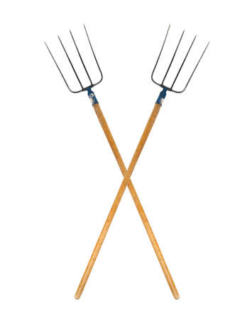 Pitchforks isolated on white backgroundの写真素材