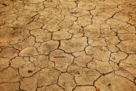 Dry soil texture closeupの写真素材