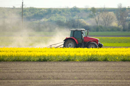 Tractor on the fields Tractor on the fields
