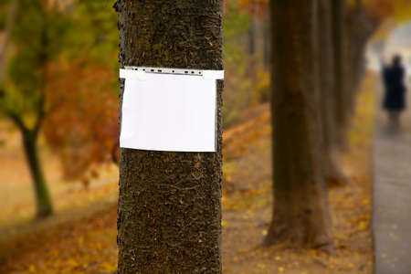 Blank sign on a tree in a parkの写真素材