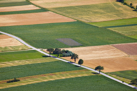 Aerial view of agricultural fields