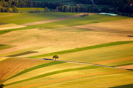 Aerial view of agricultural fields