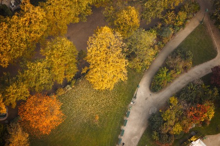 Autumn park viewed from aboveの写真素材