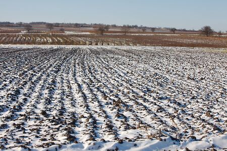 Agricultural field covered by fresh snowの写真素材