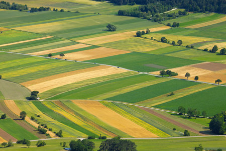 Aerial view of agricultural fields
