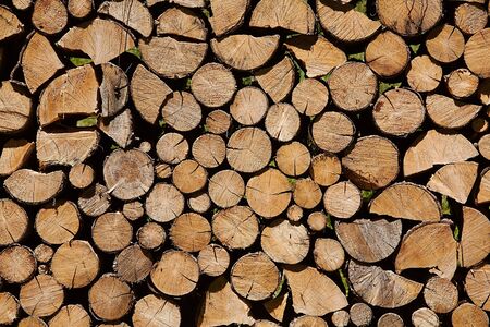 Pile of logs cut for firewoodの写真素材