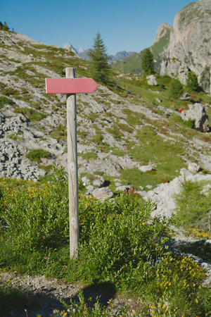 Blank direction sign in the mountains