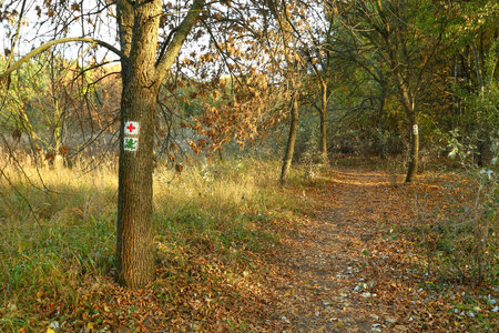 Hiking trail signs in the forest