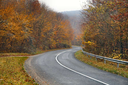 Wet road in cold autumnの写真素材