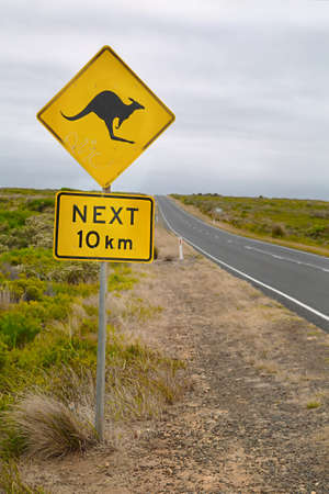 Kangaroo warning sign on the roadsideの写真素材