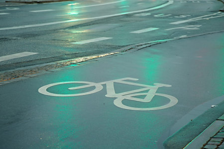 Bicycle lane sign on wet asphalt surface