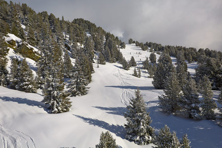 Skiing slope in the French Alpes