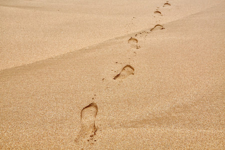 Footsteps on a sandy beachの写真素材