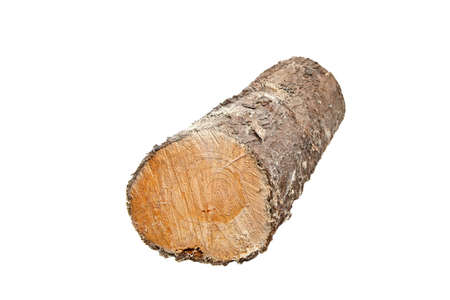 Pile of logs cut for firewood isolated on whiteの写真素材