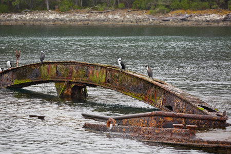 Old rusty shipwreck in Canoe Bay, Tasmania, Tasman Peninsulaの写真素材