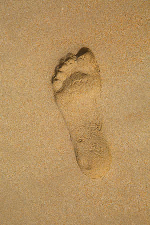 Footsteps on a sandy beachの写真素材
