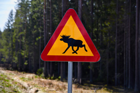 Moose roadsign in Sweden