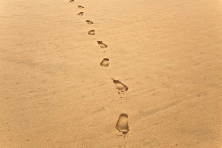 Footsteps in Sandの写真素材