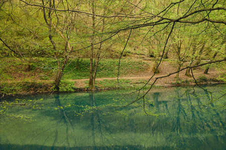 Small lake with treesの写真素材