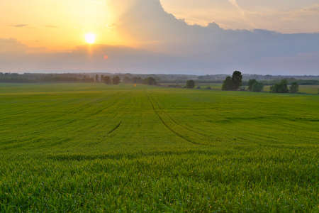 Agircutural landscape with cloudsの写真素材