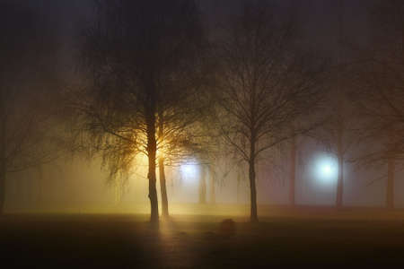 Foggy Mysterious Nightの写真素材