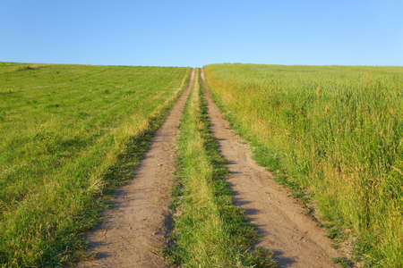 Dirtroad through a fieldの写真素材