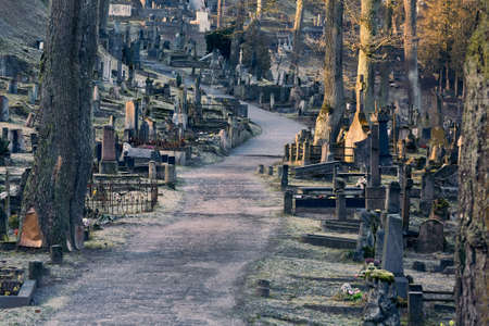 Old cemetery with many tombstonesの写真素材