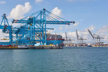 Huge container ship in portの写真素材