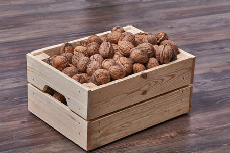 Walnuts in a chestの写真素材