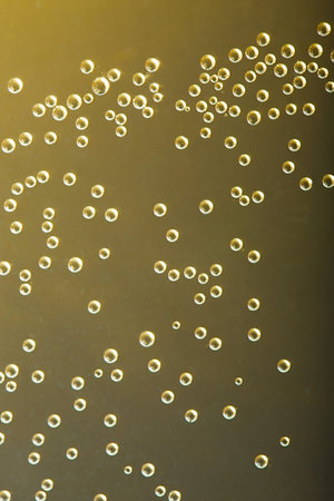 Bubbles in liquid