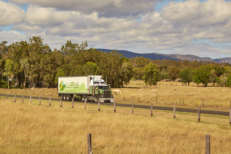 Truck on the road