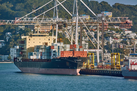 Container Ship in Port