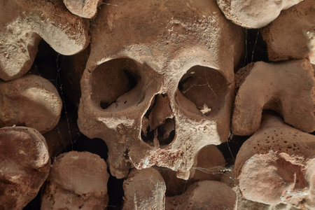 Skulls and bones in a wall