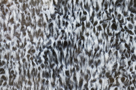Starnge Wall Texture