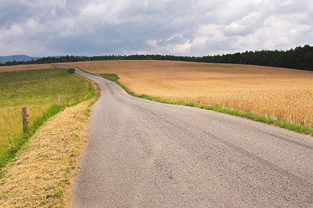 Road through farmlands