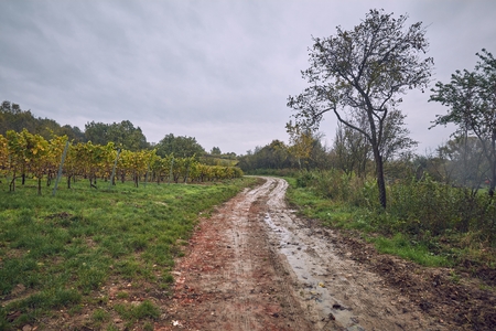 Dirtroad in the countrysideの写真素材