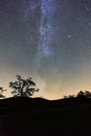Starry sky landscape